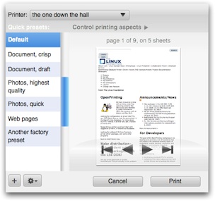 level 2 printing dialog